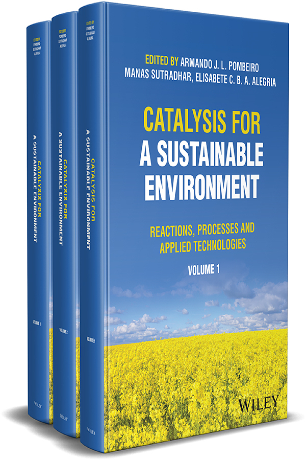 Catalysis for a Sustainable Environment Reactions, Processes and ...