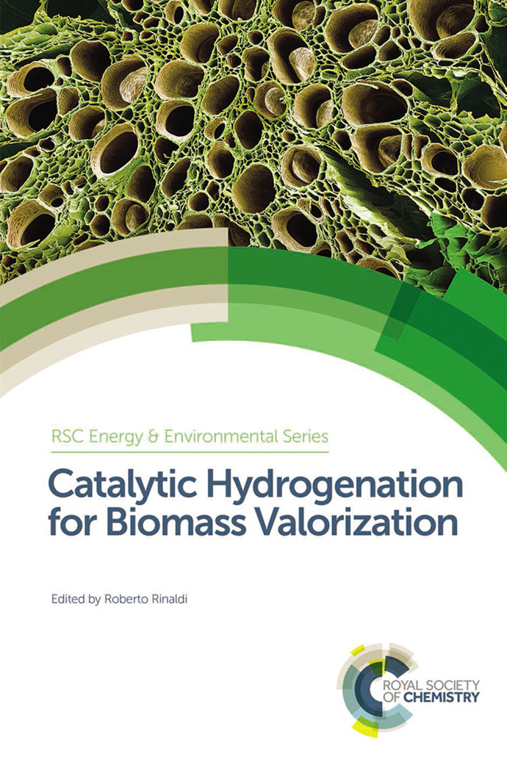 Catalytic Hydrogenation for Biomass Valorization 1st Edition â€“ PDF/EPUB Version Downloadable