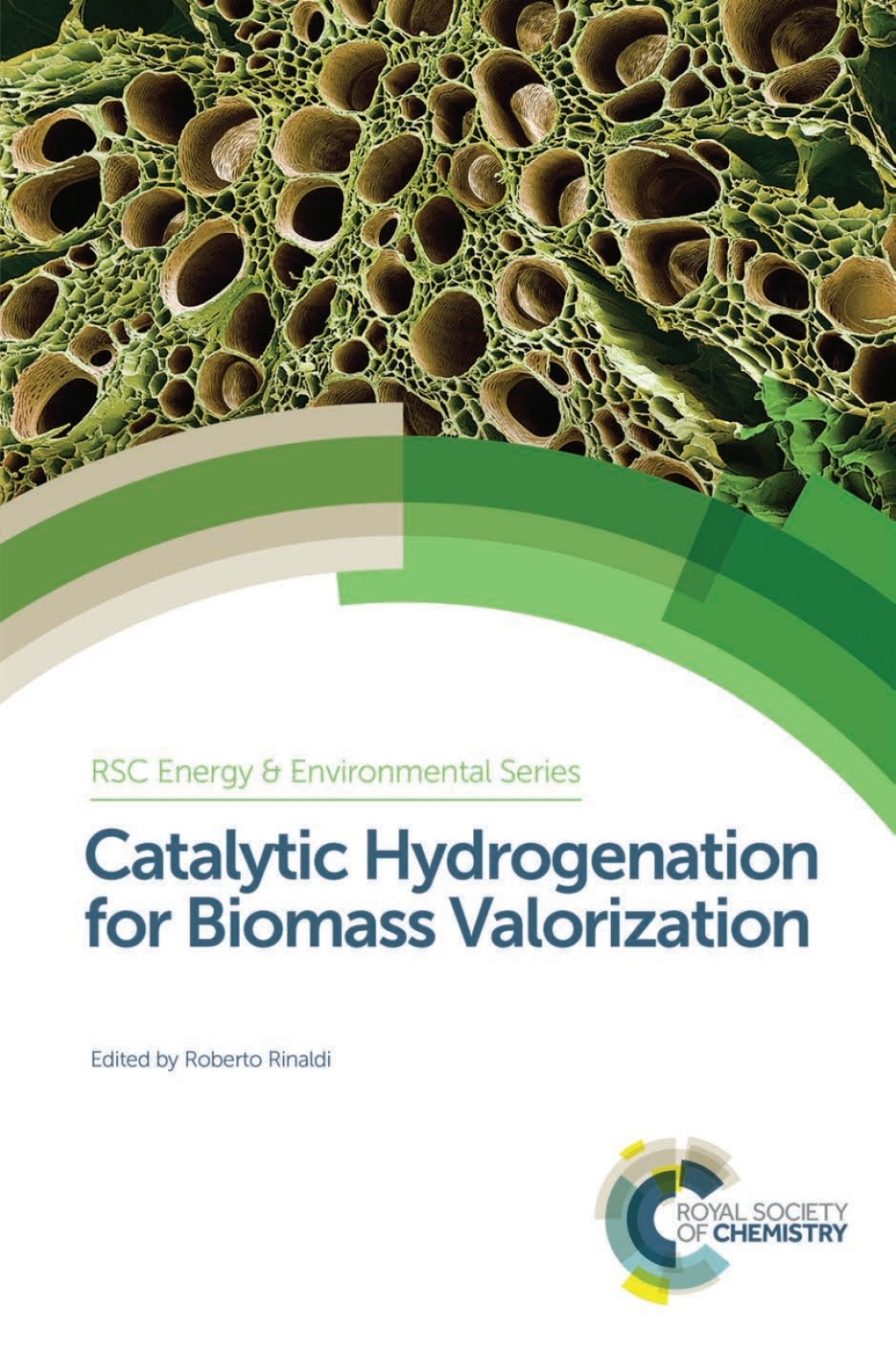 Catalytic Hydrogenation for Biomass Valorization 1st Edition â€“ PDF/EPUB Version Downloadable