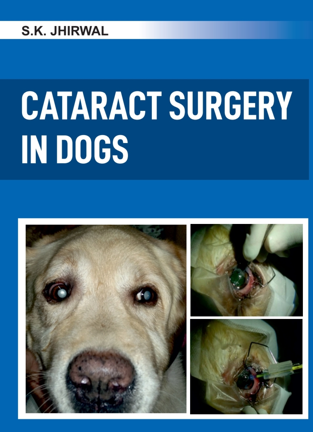 Cataract Surgery in Dogs 1st Edition â€“ PDF/EPUB Version Downloadable