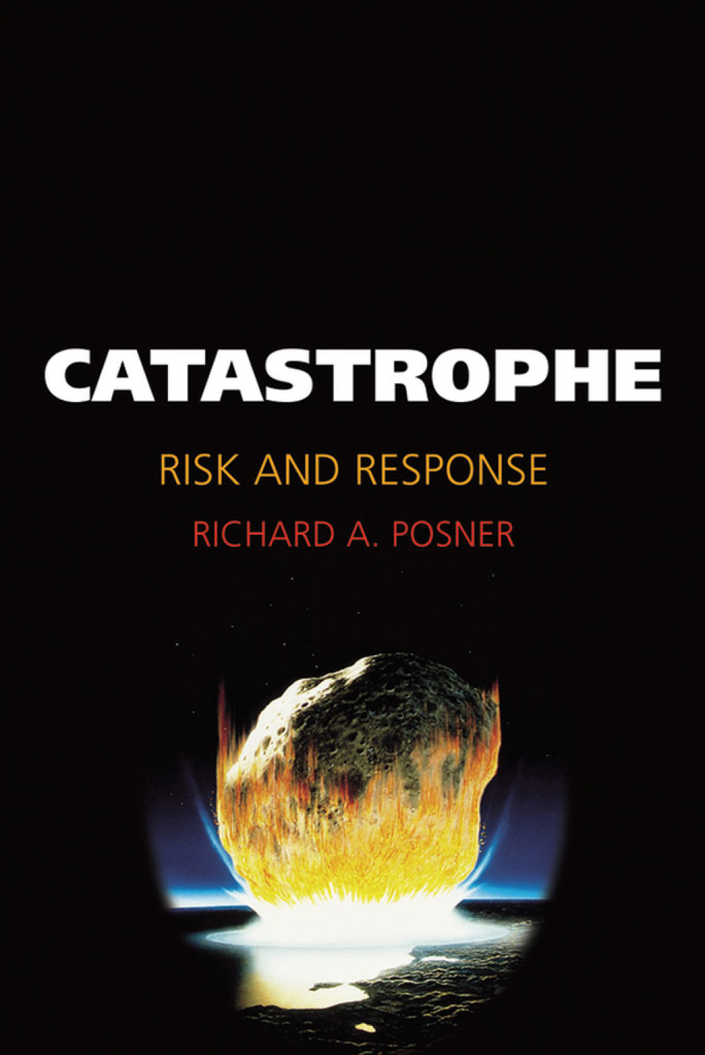 Catastrophe Risk and Response - (PDF/EPUB Version)