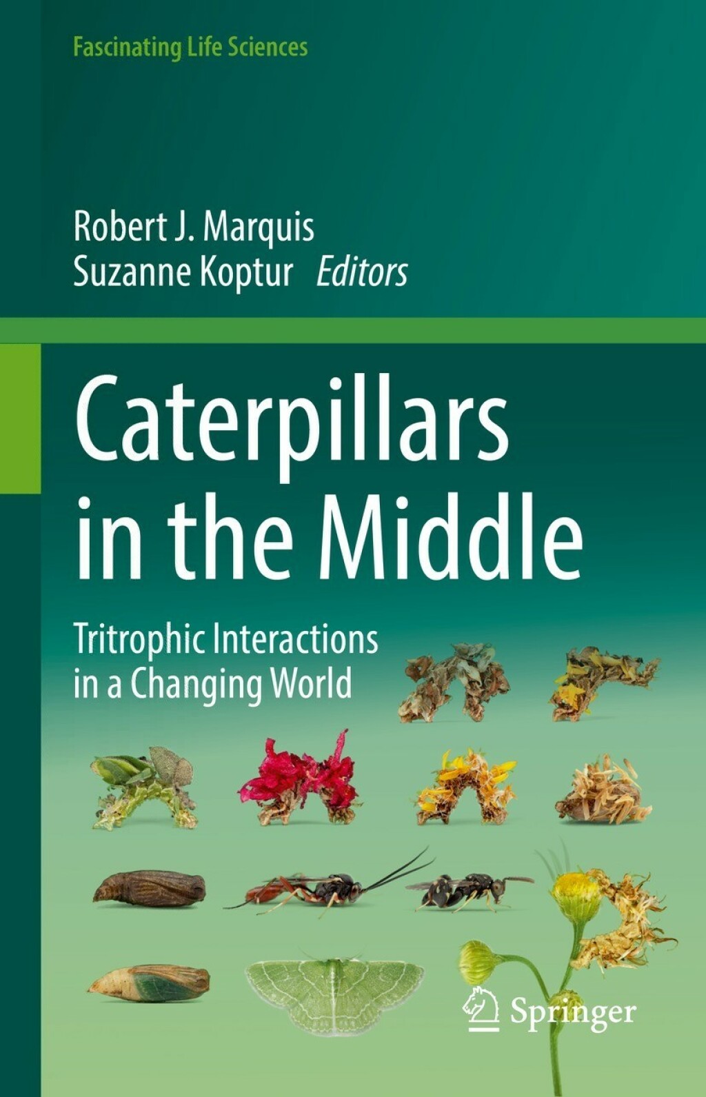 Caterpillars in the Middle Tritrophic Interactions in a Changing World  â€“ PDF/EPUB Version Downloadable