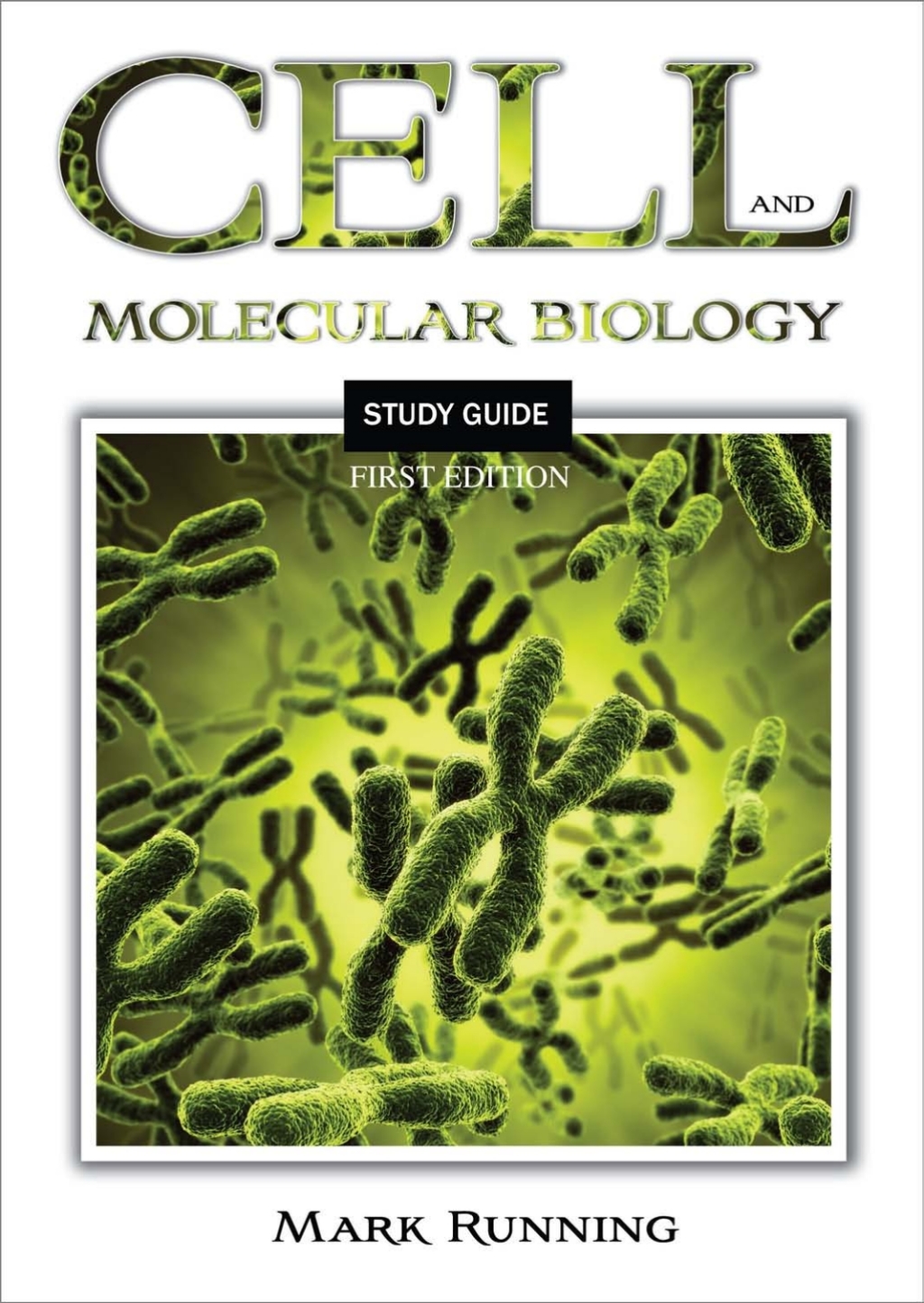 Cell and Molecular Biology Study Guide 1st Edition â€“ PDF/EPUB Version Downloadable