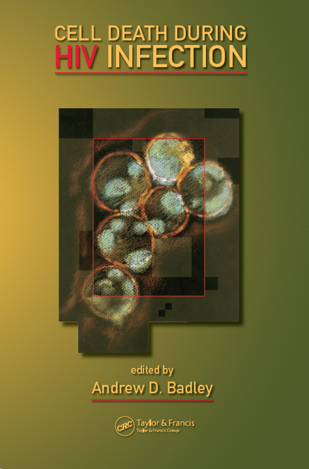 Cell Death During HIV Infection 1st Edition â€“ PDF/EPUB Version Downloadable