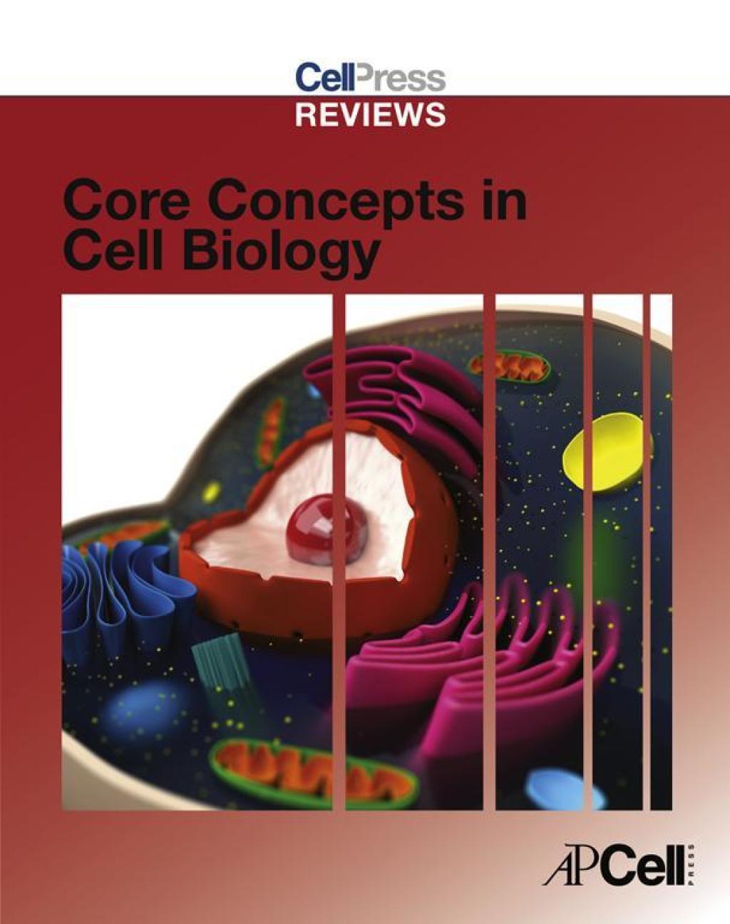 Cell Press Reviews: Core Concepts in Cell Biology 1st Edition - (PDF/EPUB Version)