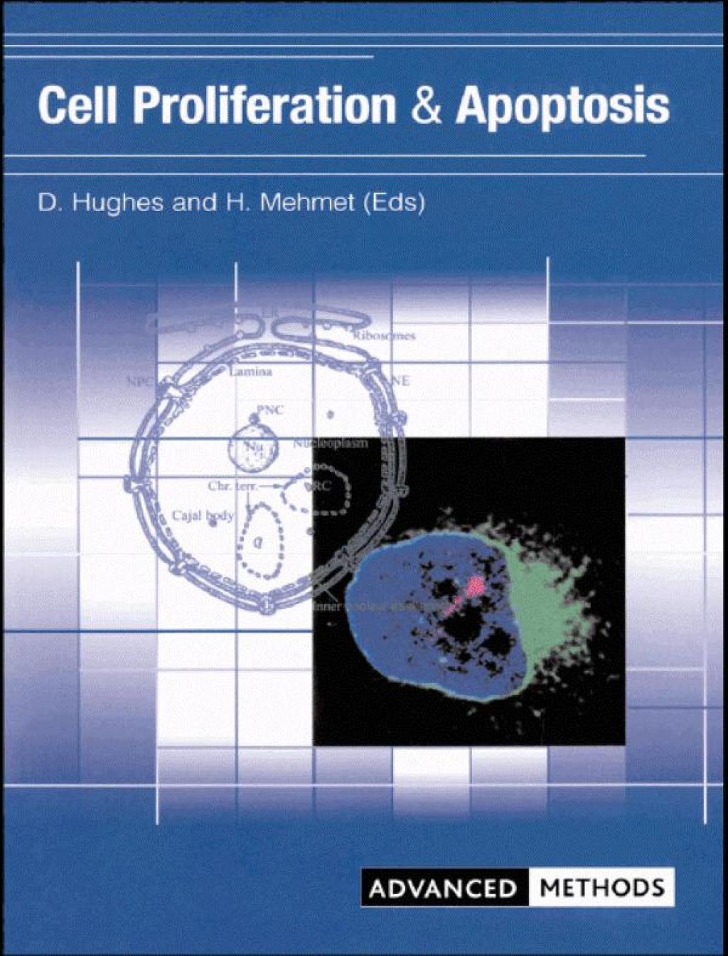 Cell Proliferation and Apoptosis 1st Edition â€“ PDF/EPUB Version Downloadable