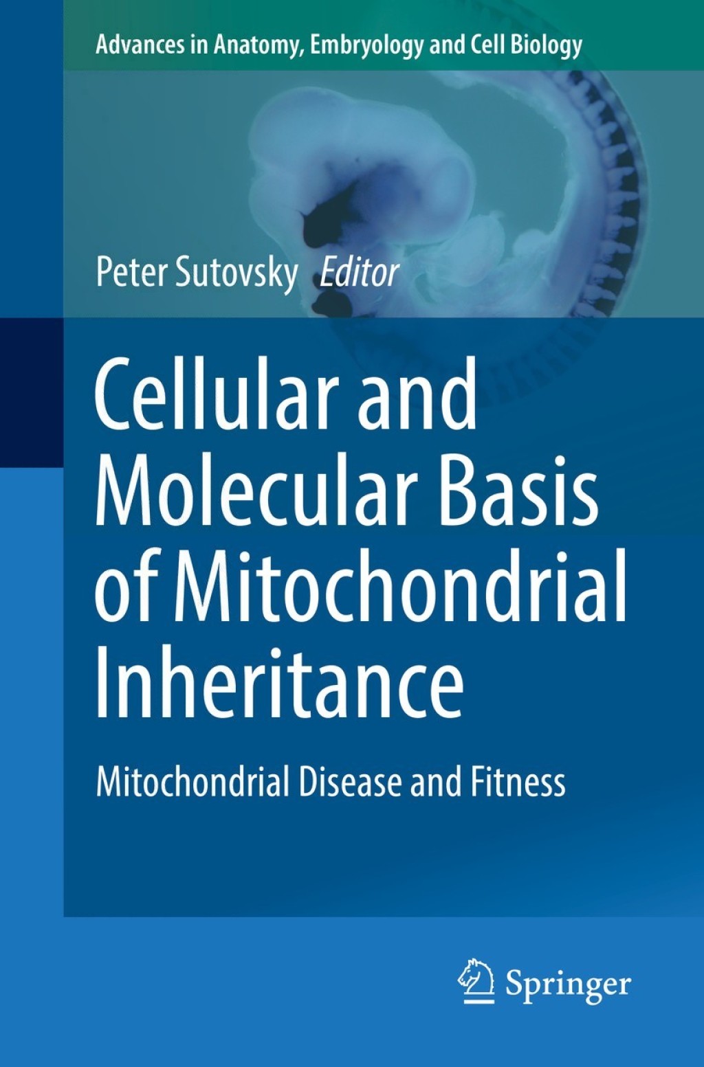 Cellular and Molecular Basis of Mitochondrial Inheritance Mitochondrial ...