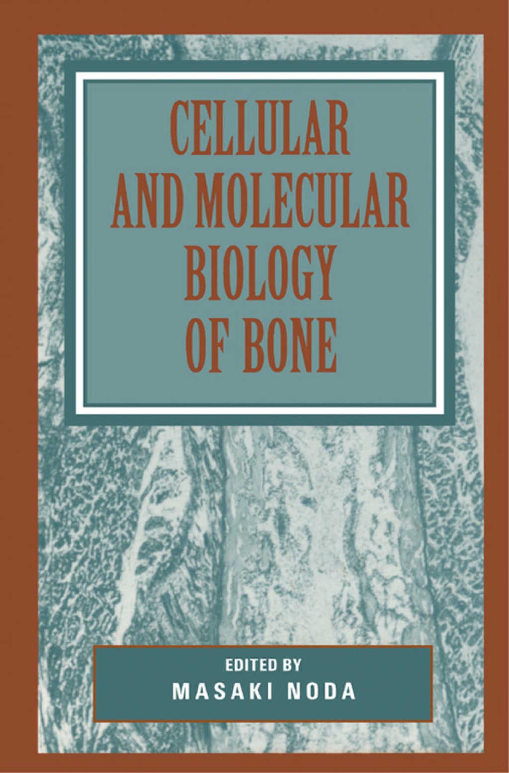 Cellular and Molecular Biology of Bone â€“ PDF/EPUB Version Downloadable