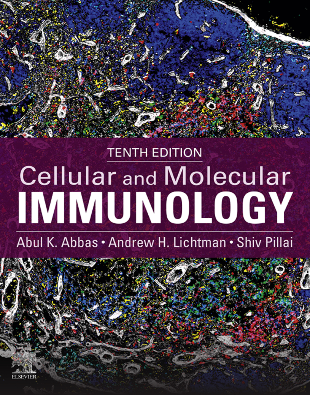 Cellular and Molecular Immunology 10th Edition â€“ PDF/EPUB Version ...