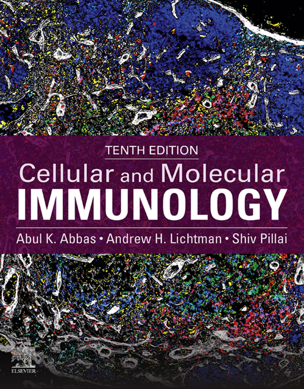 Cellular and Molecular Immunology 10th Edition â€“ PDF/EPUB Version ...