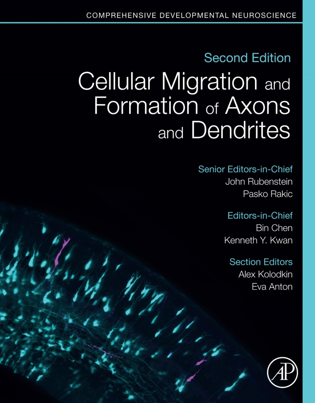Cellular Migration and Formation of Axons and Dendrites Comprehensive Developmental Neuroscience 2nd Edition â€“ PDF/EPUB Version Downloadable
