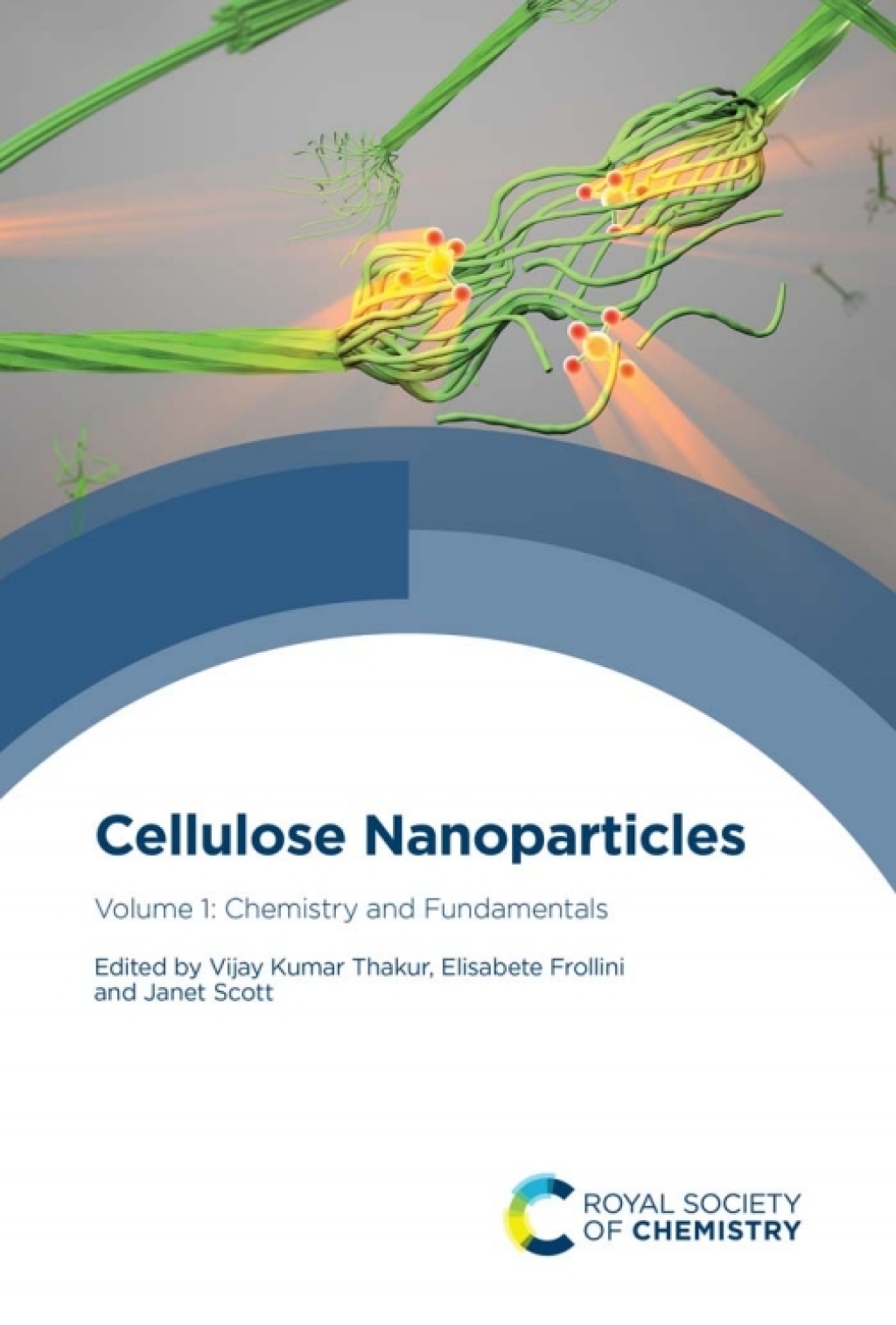 Cellulose Nanoparticles Volume 1: Chemistry and Fundamentals 1st Edition â€“ PDF/EPUB Version Downloadable