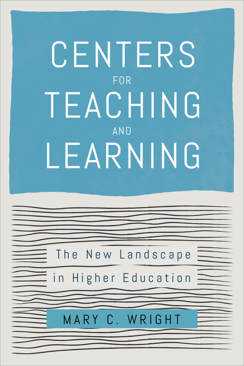 Centers for Teaching and Learning The New Landscape in Higher Education - (PDF/EPUB Version)