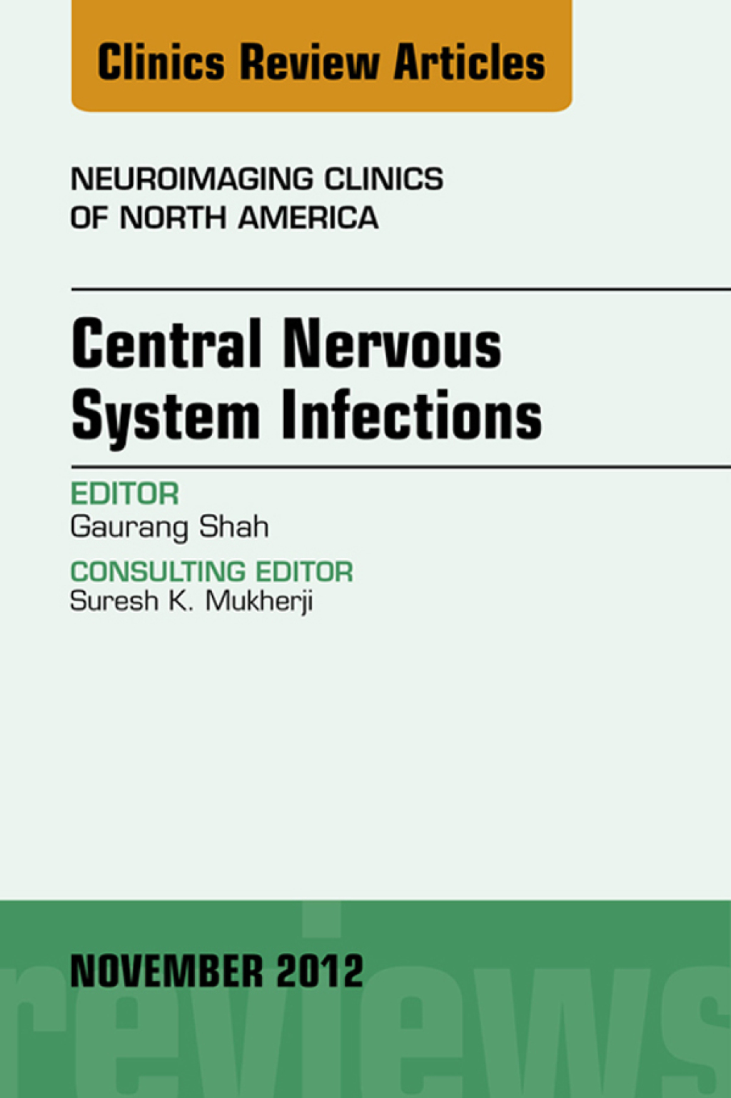 Central Nervous System Infections, An Issue of Neuroimaging Clinics  â€“ PDF/EPUB Version Downloadable