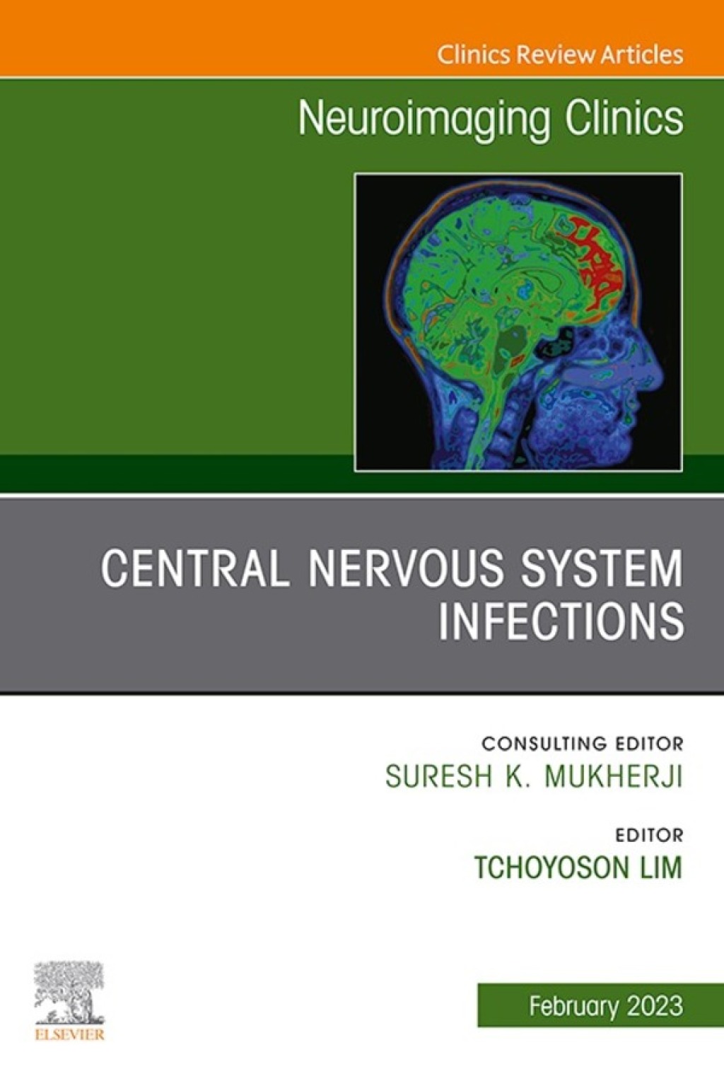 Central Nervous System Infections, An Issue of Neuroimaging Clinics of North America 1st Edition â€“ PDF/EPUB Version Downloadable