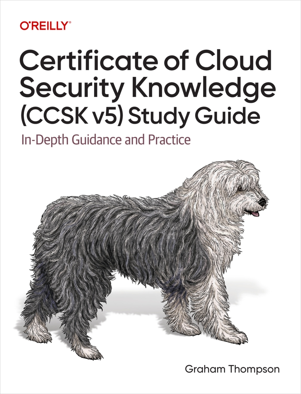Certificate of Cloud Security Knowledge (CCSK v5) Study Guide In-Depth ...