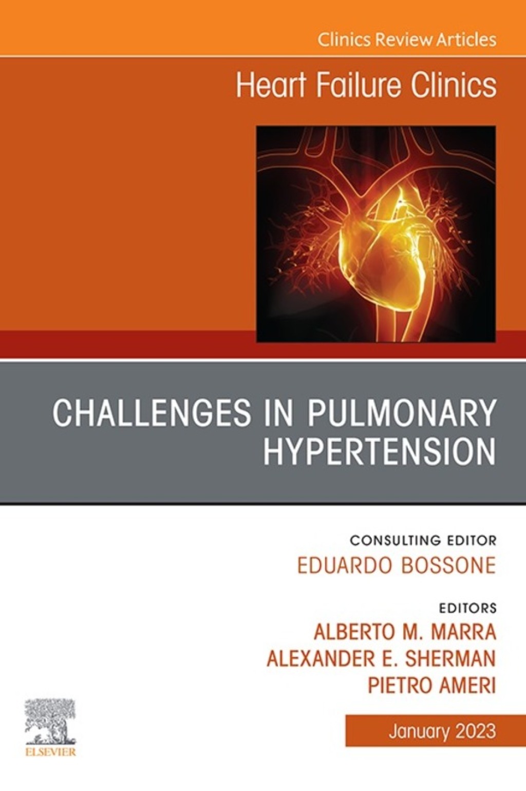 Challenges in Pulmonary Hypertension, An Issue of Heart Failure Clinics 1st Edition â€“ PDF/EPUB Version Downloadable