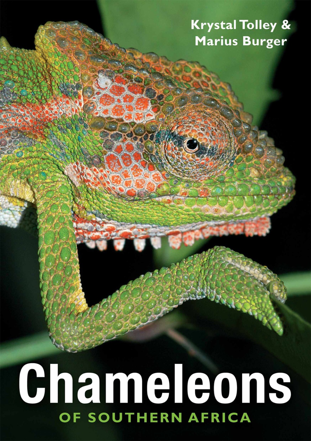 Chameleons of Southern Africa 1st Edition - (PDF/EPUB Version)