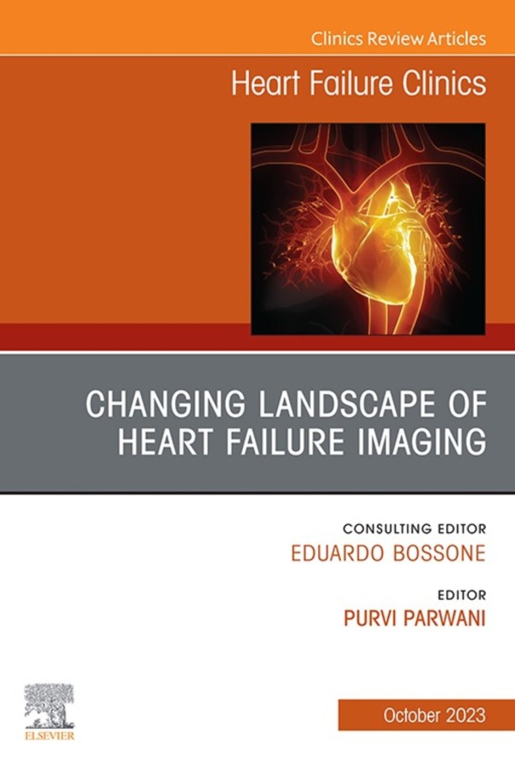 Changing landscape of Heart failure imaging, An Issue of Heart Failure Clinics, An Issue of Heart Failure Clinics 1st Edition â€“ PDF/EPUB Version Downloadable