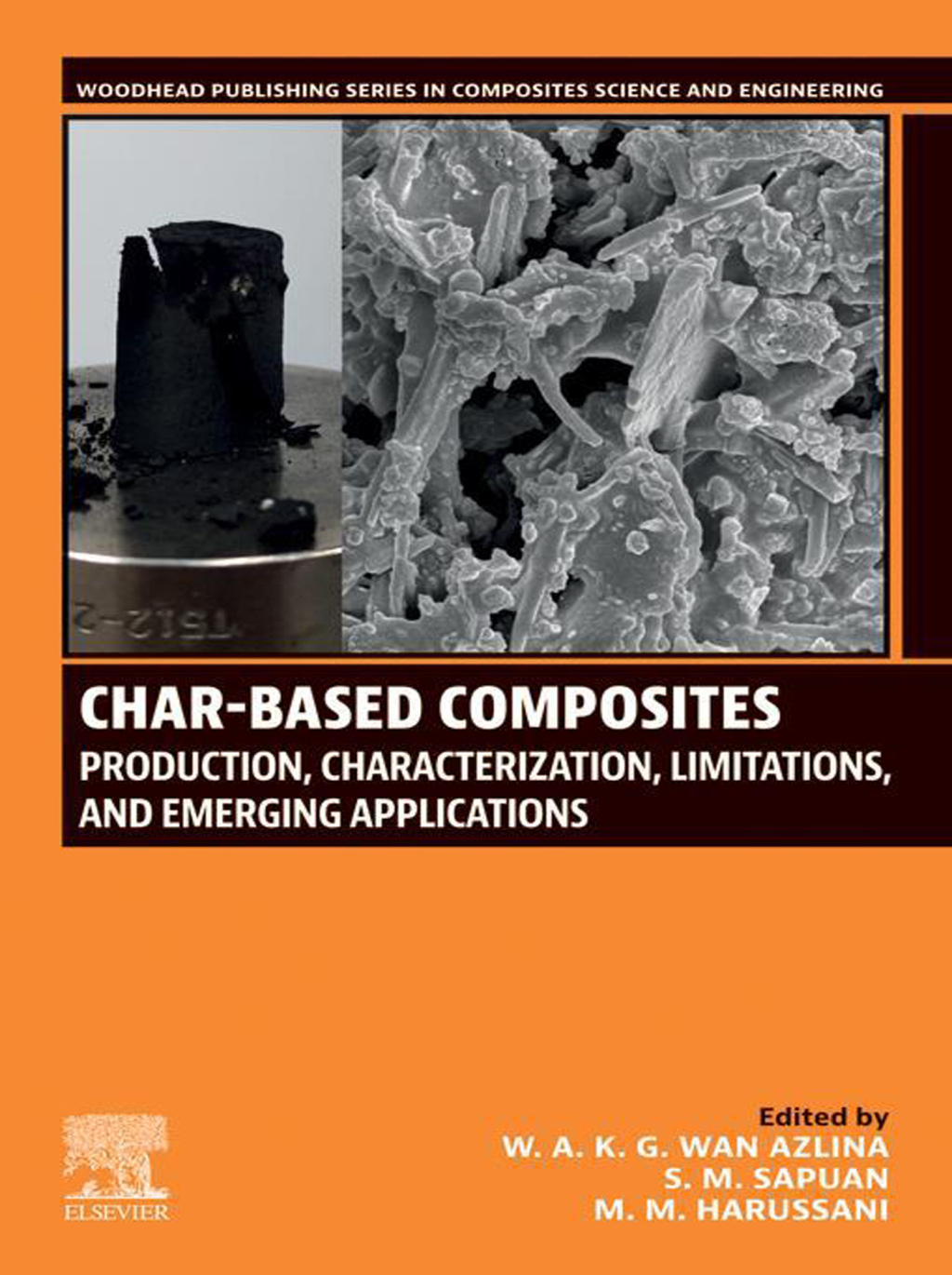 Char-based Composites Production, Characterization, Limitations, and Emerging Applications 1st Edition â€“ PDF/EPUB Version Downloadable