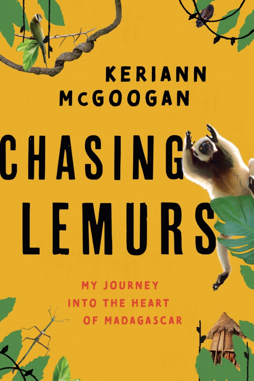 Chasing Lemurs My Journey into the Heart of Madagascar - (PDF/EPUB Version)