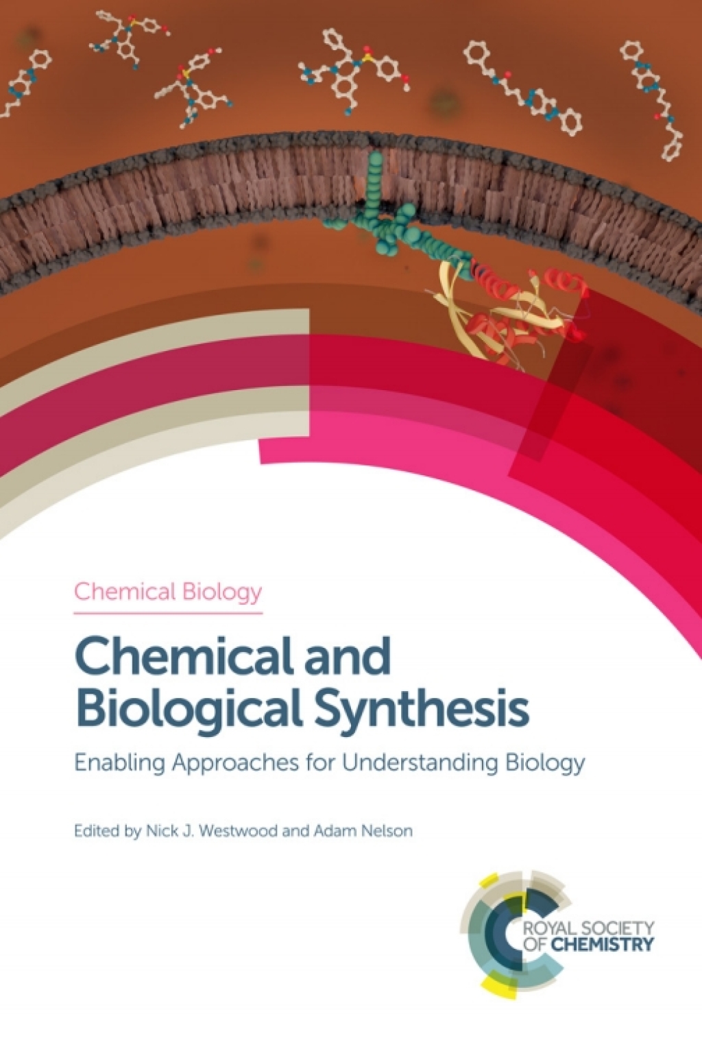 Chemical and Biological Synthesis Enabling Approaches for Understanding Biology 1st Edition â€“ PDF/EPUB Version Downloadable