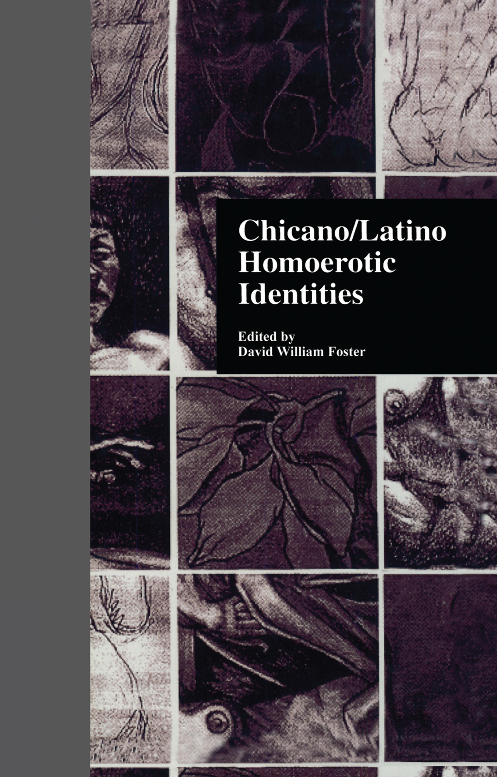 Chicano/Latino Homoerotic Identities 1st Edition â€“ PDF/EPUB Version Downloadable