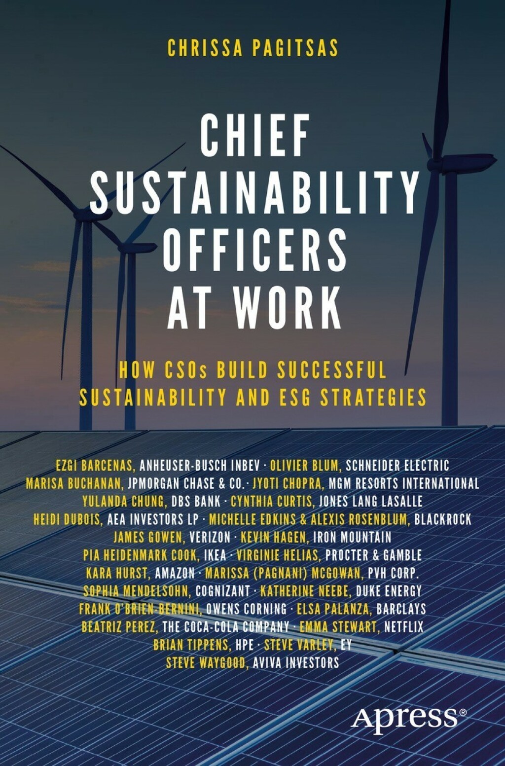 Chief Sustainability Officers At Work How CSOs Build Successful Sustainability and ESG Strategies - (PDF/EPUB Version)