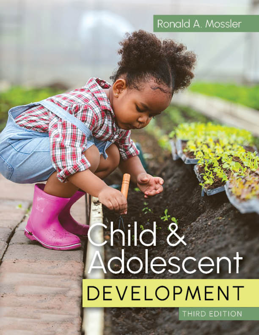 Child and Adolescent Development, Third Edition 3rd Edition â€“ PDF/EPUB Version Downloadable