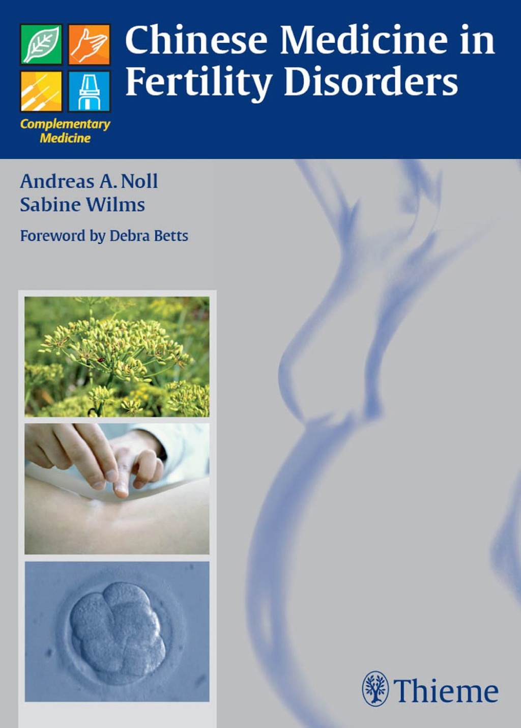 Chinese Medicine in Fertility Disorders 1st Edition â€“ PDF/EPUB Version Downloadable