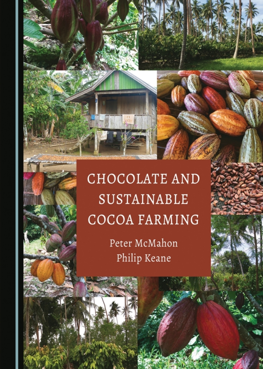 Chocolate and Sustainable Cocoa Farming 1st Edition â€“ PDF/EPUB Version Downloadable