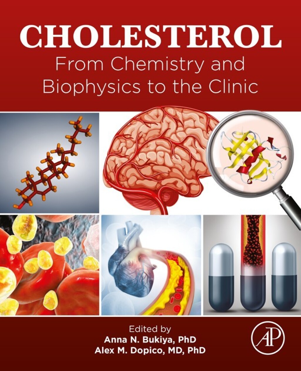 Cholesterol From Chemistry and Biophysics to the Clinic â€“ PDF/EPUB Version Downloadable