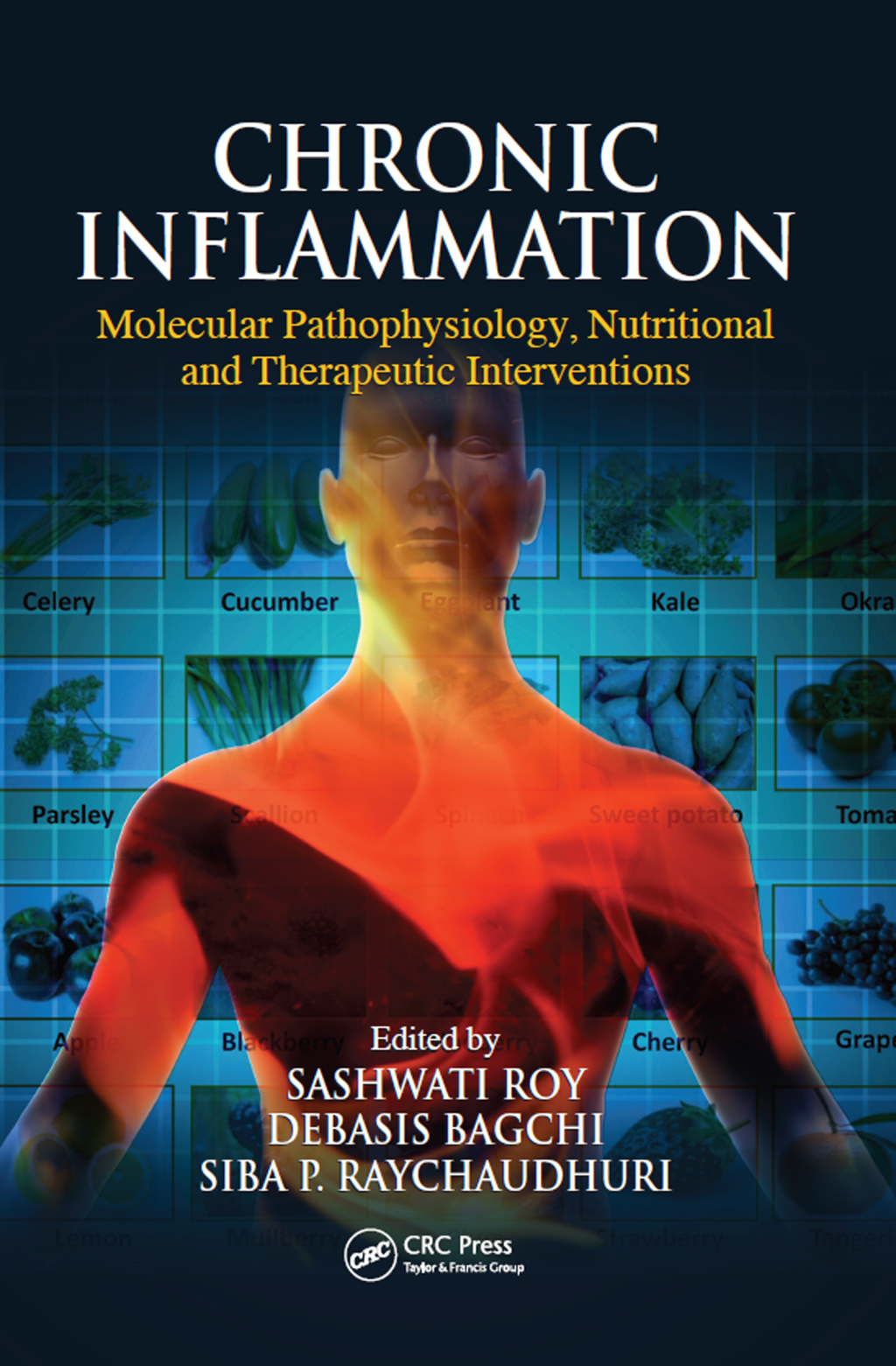 Chronic Inflammation Molecular Pathophysiology, Nutritional and Therapeutic Interventions 1st Edition â€“ PDF/EPUB Version Downloadable