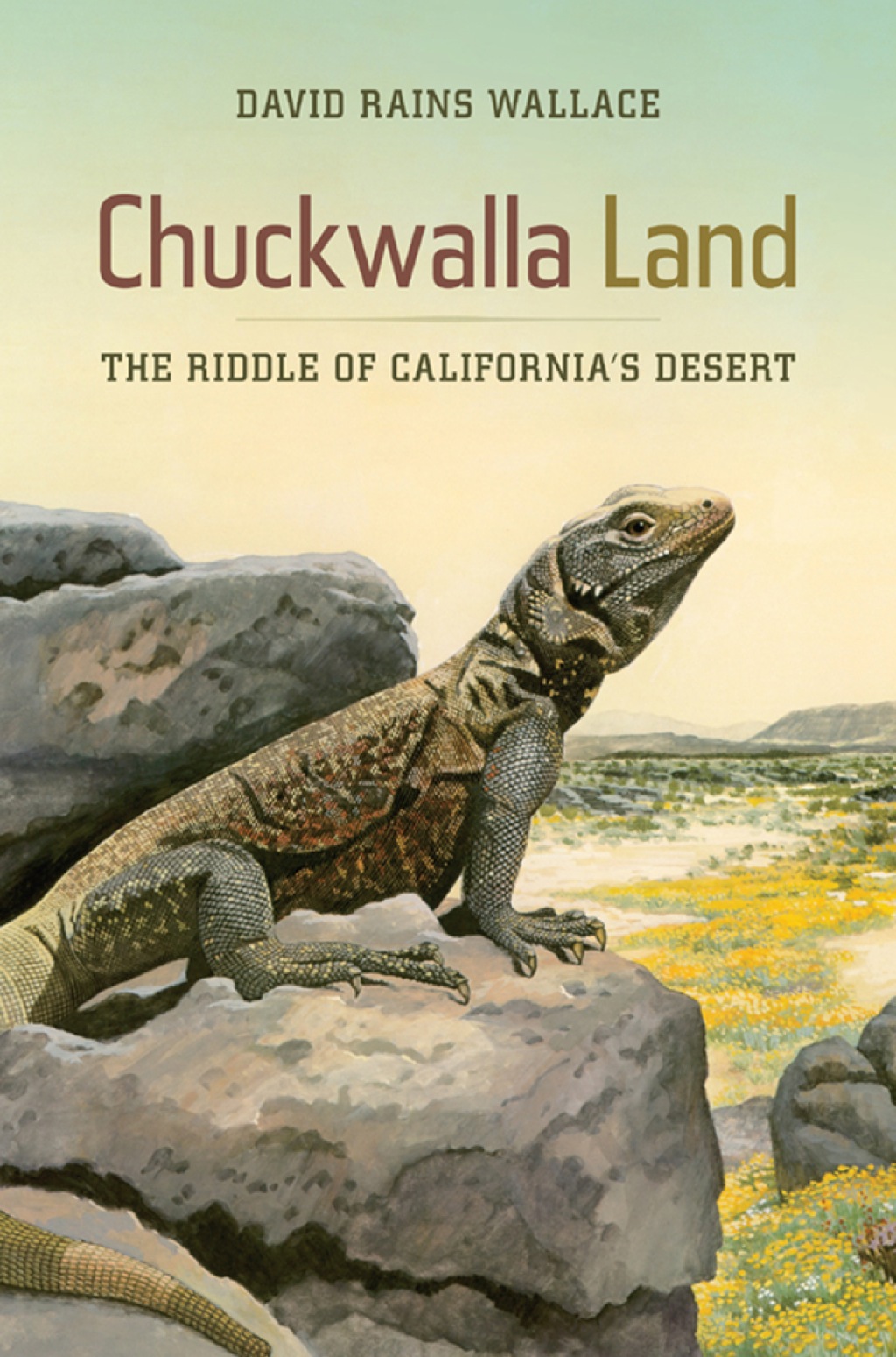 Chuckwalla Land The Riddle of California's Desert 1st Edition - (PDF/EPUB Version)