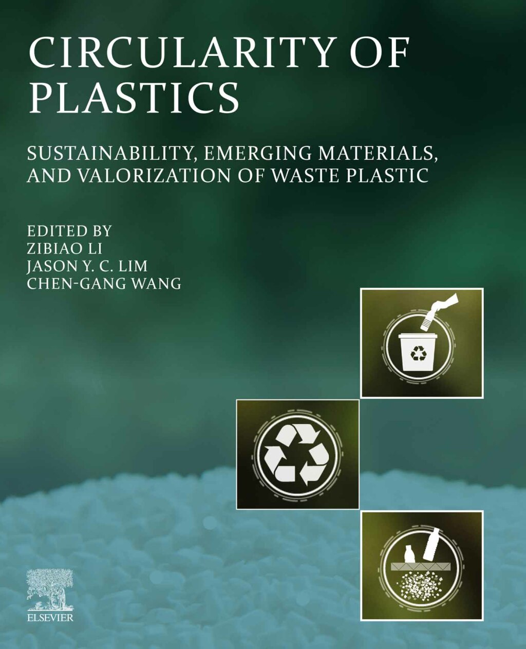 Circularity of Plastics Sustainability, Emerging Materials, and Valorization of Waste Plastic 1st Edition â€“ PDF/EPUB Version Downloadable