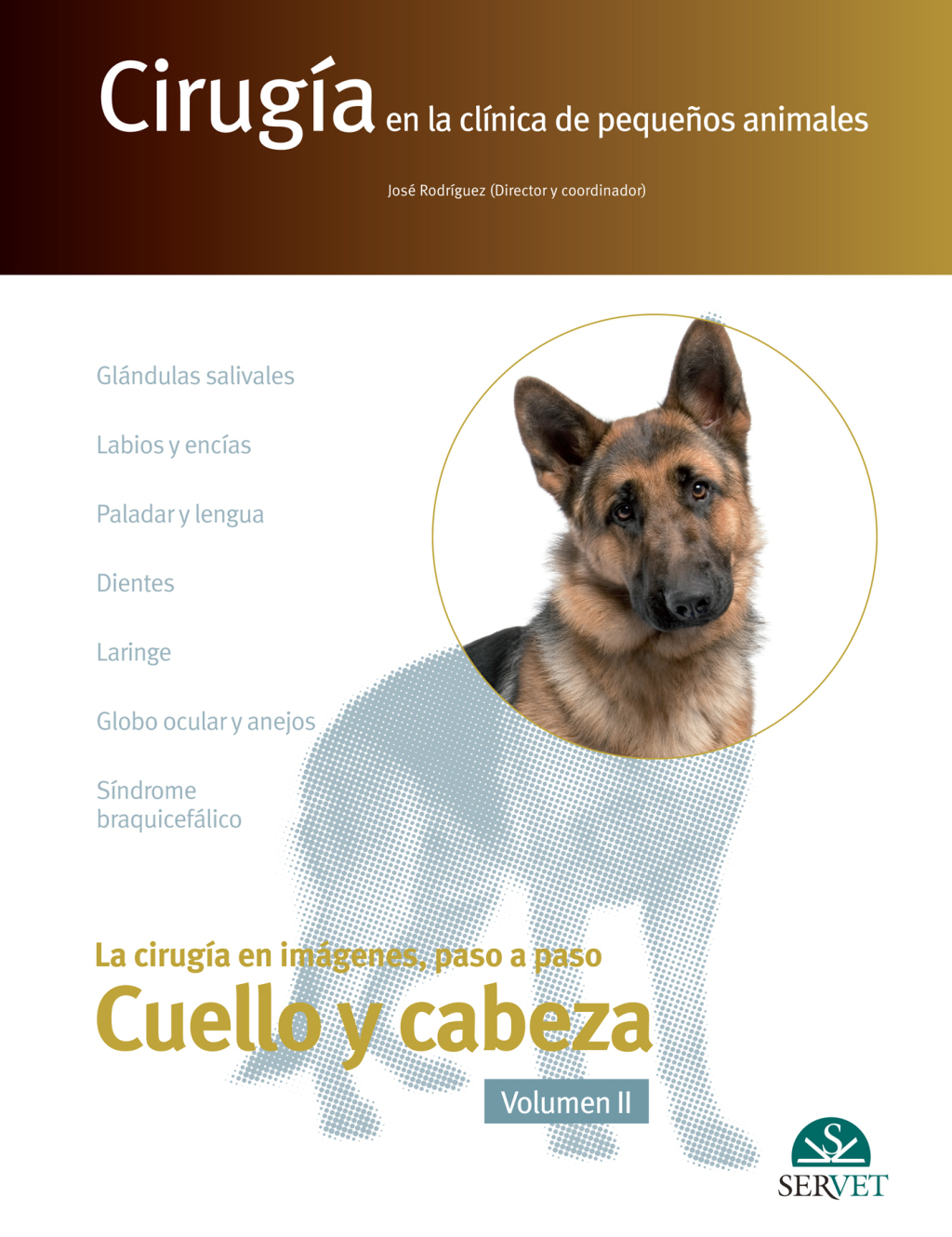 CirugÃ­a en la clÃ­nica de pequeÃ±os animales. Cabeza y cuello. Volumen II 1st Edition â€“ PDF/EPUB Version Downloadable