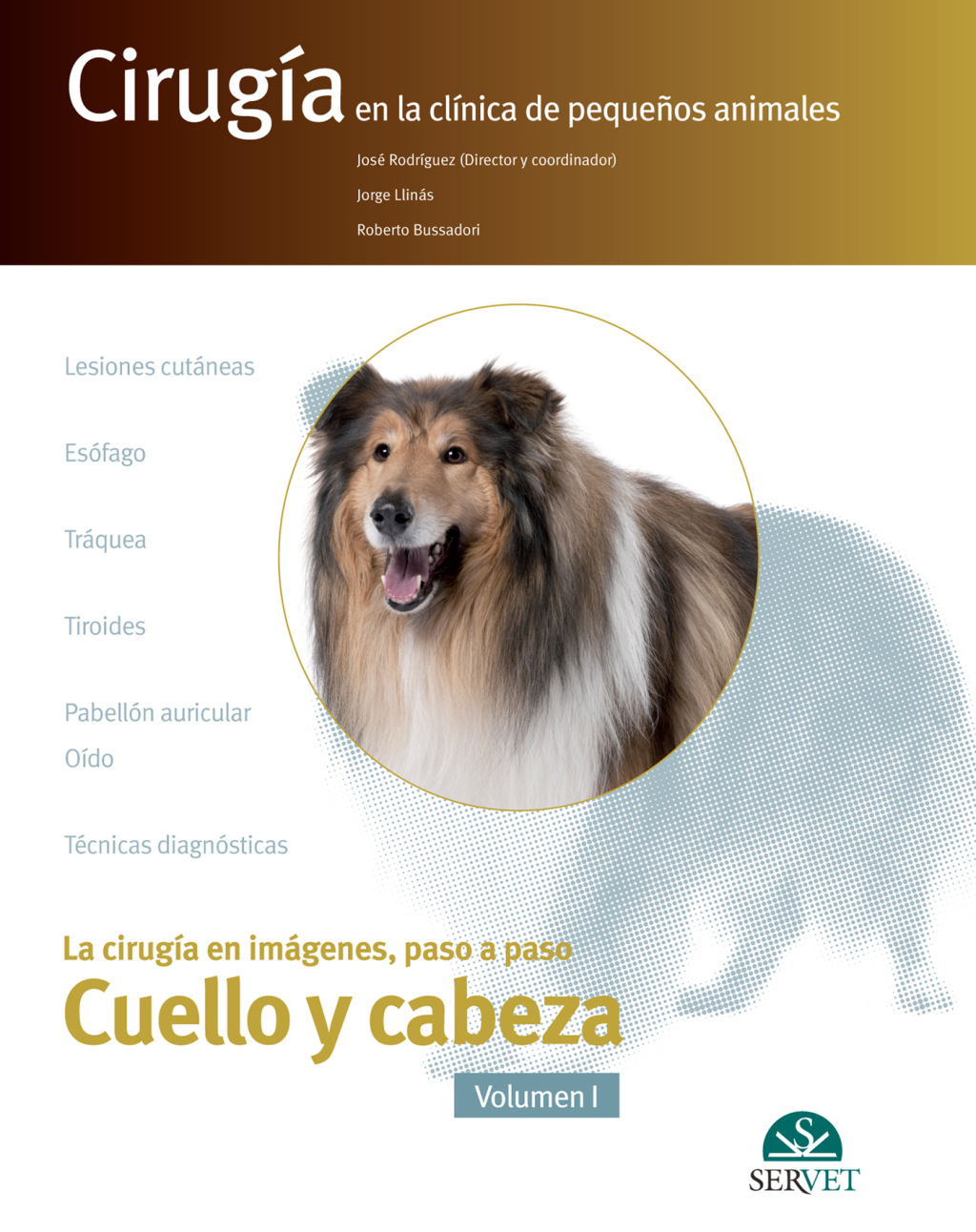 CirugÃ­a en la clÃ­nica de pequeÃ±os animales. Cuello y cabeza. Vol. I 1st Edition â€“ PDF/EPUB Version Downloadable