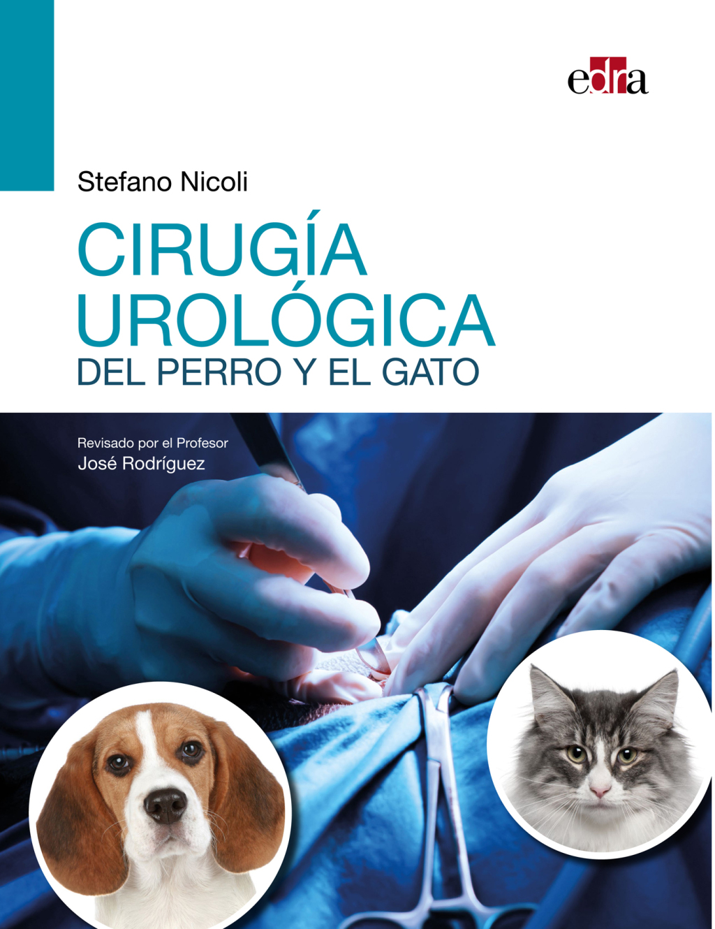 CirugÃ­a urolÃ³gica del perro y el gato 1st Edition â€“ PDF/EPUB Version Downloadable