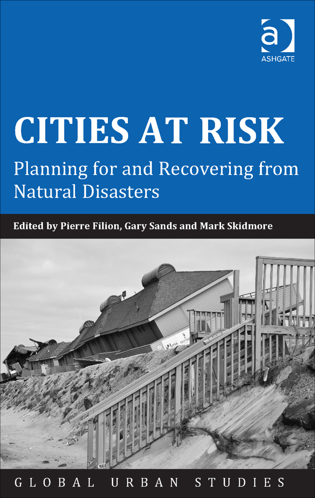 Cities at Risk: Planning for and Recovering from Natural Disasters â€“ PDF/EPUB Version Downloadable