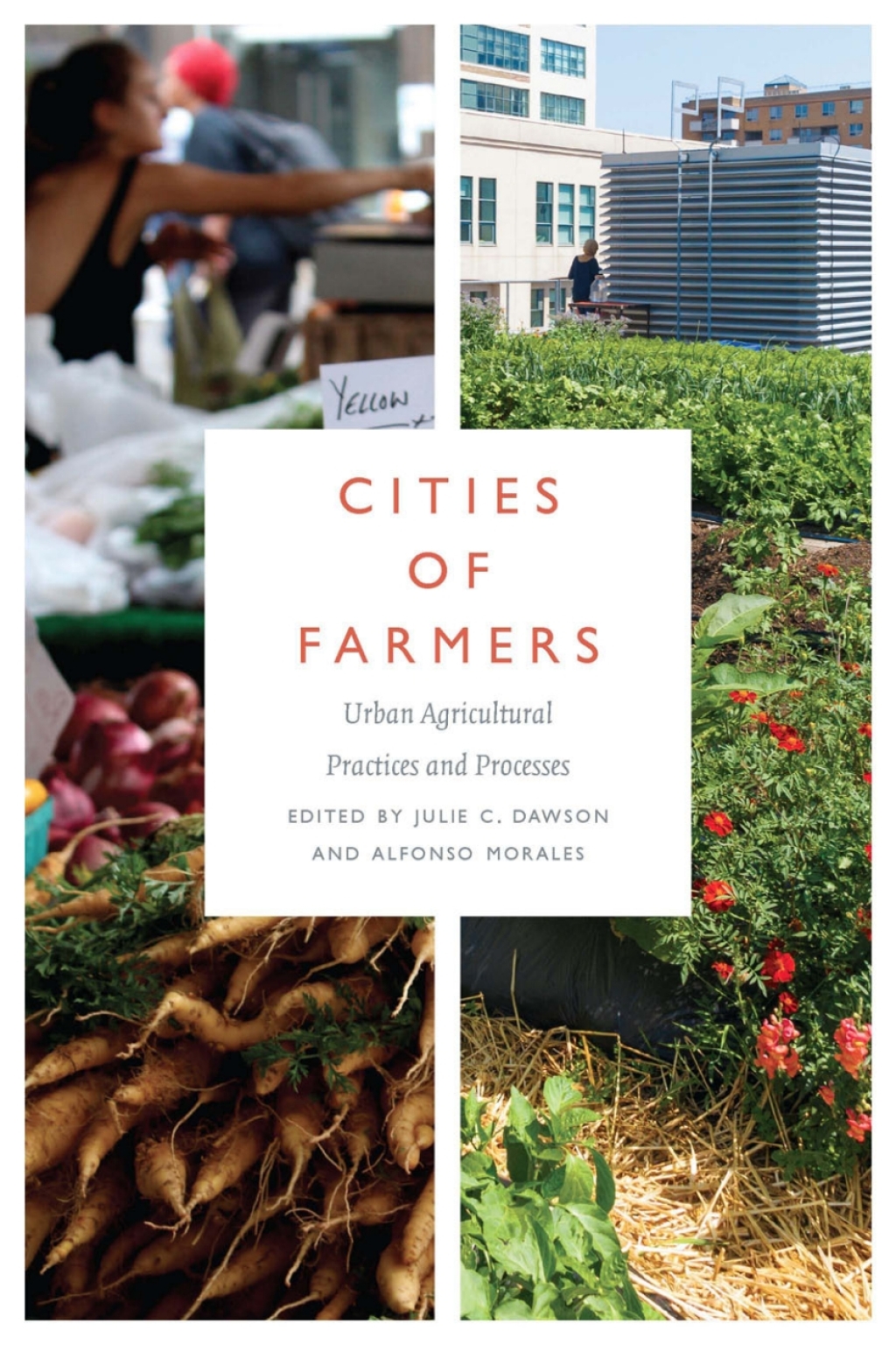 Cities of Farmers Urban Agricultural Practices and Processes â€“ PDF ...