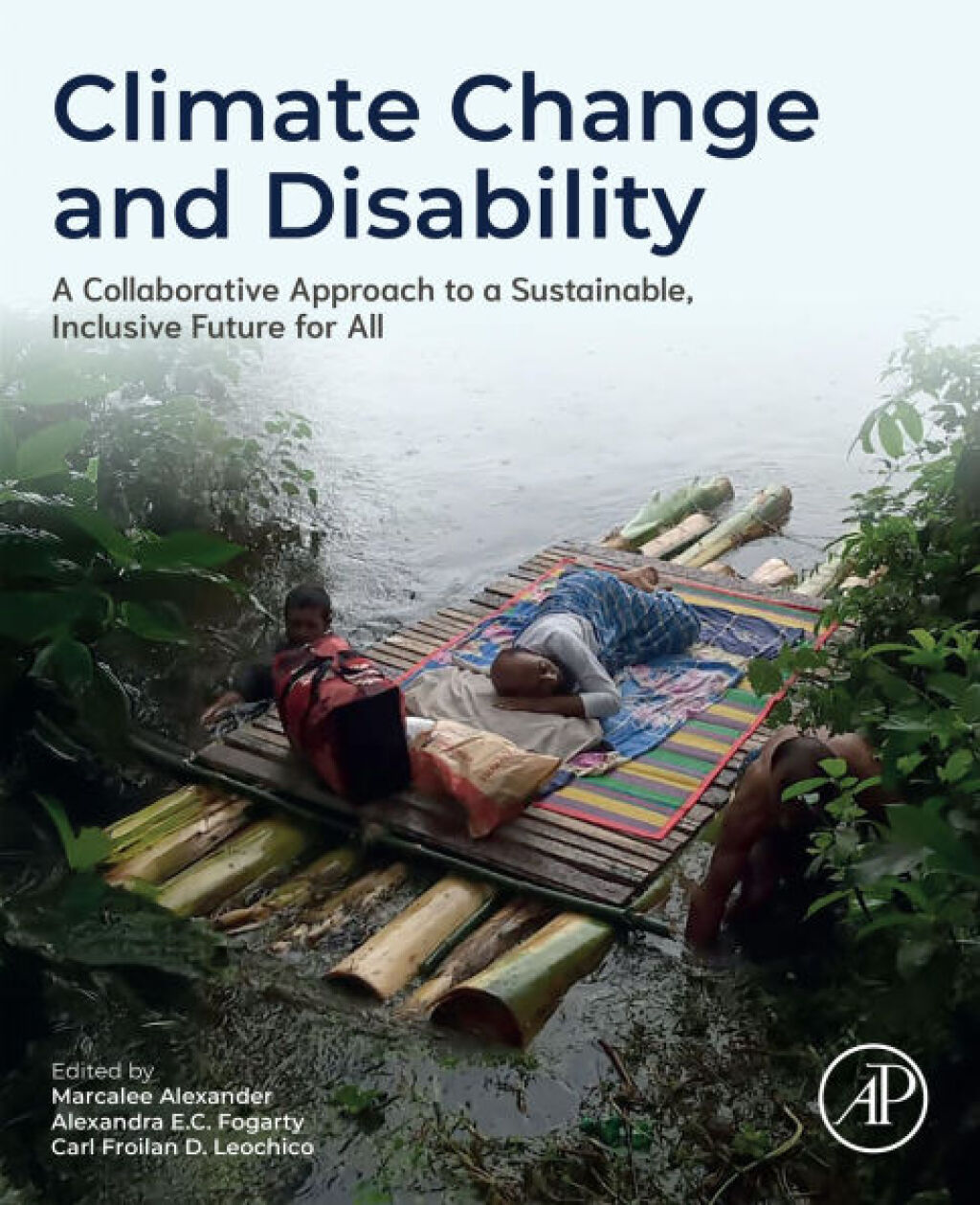 Climate Change and Disability A Collaborative Approach to a Sustainable ...