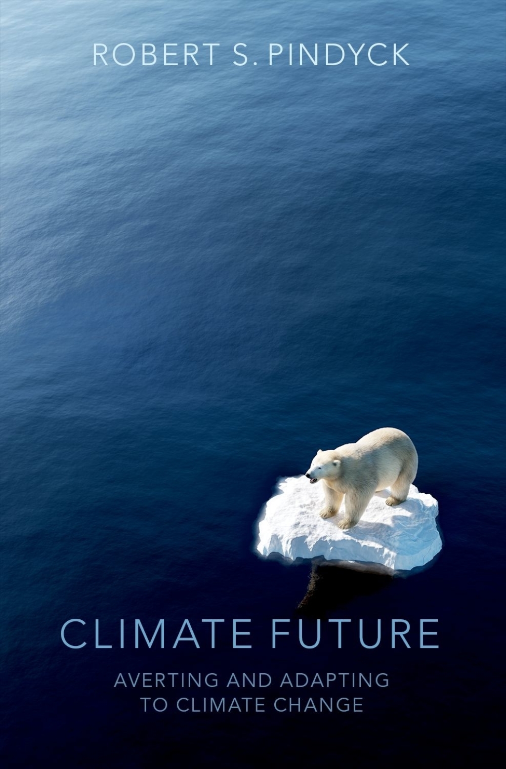 Climate Future Averting and Adapting to Climate Change - (PDF/EPUB Version)