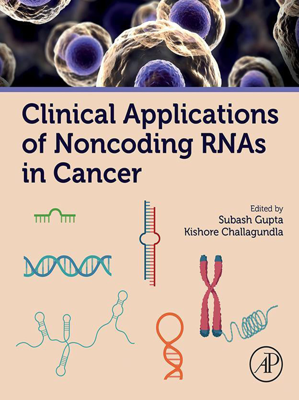 Clinical Applications of Noncoding RNAs in Cancer â€“ PDF/EPUB Version ...
