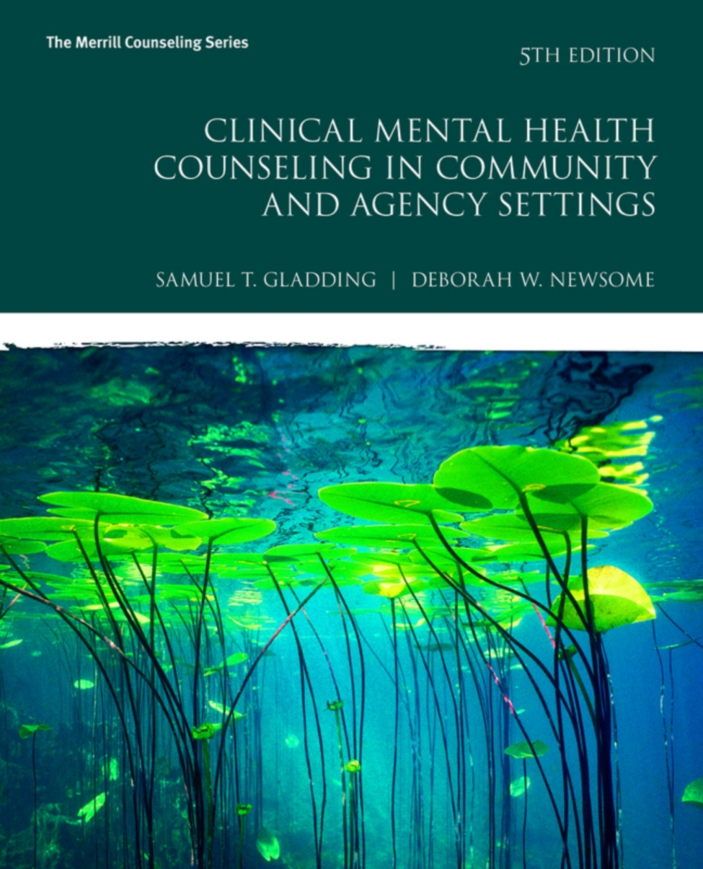 Clinical Mental Health Counseling in Community and Agency Settings (Pearson+) 5th Edition â€“ PDF/EPUB Version Downloadable