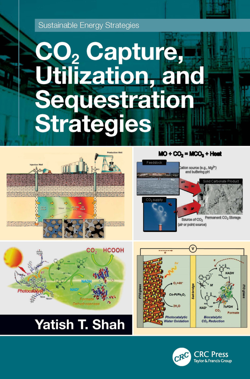 CO2 Capture, Utilization, and Sequestration Strategies 1st Edition â ...