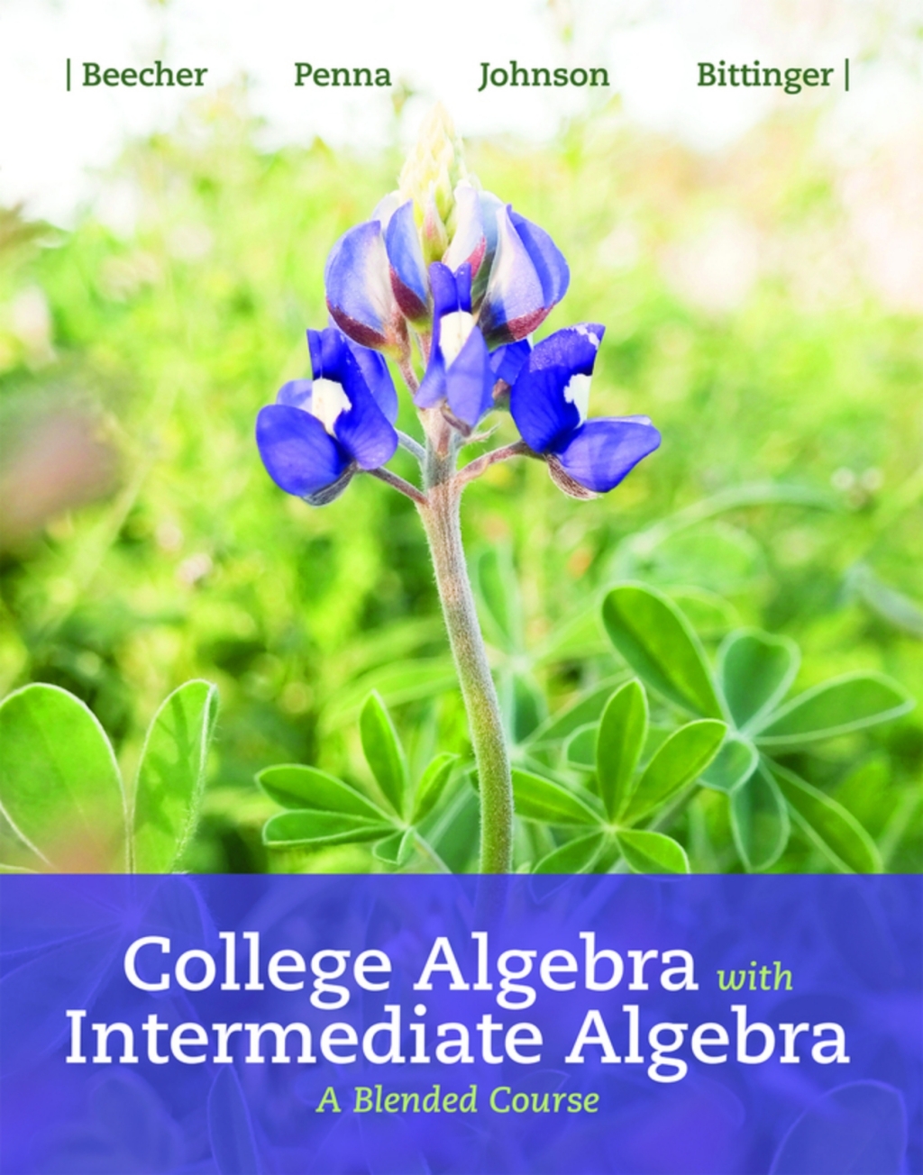 College Algebra with Intermediate Algebra: A Blended Course (Pearson+) 1st Edition â€“ PDF/EPUB Version Downloadable