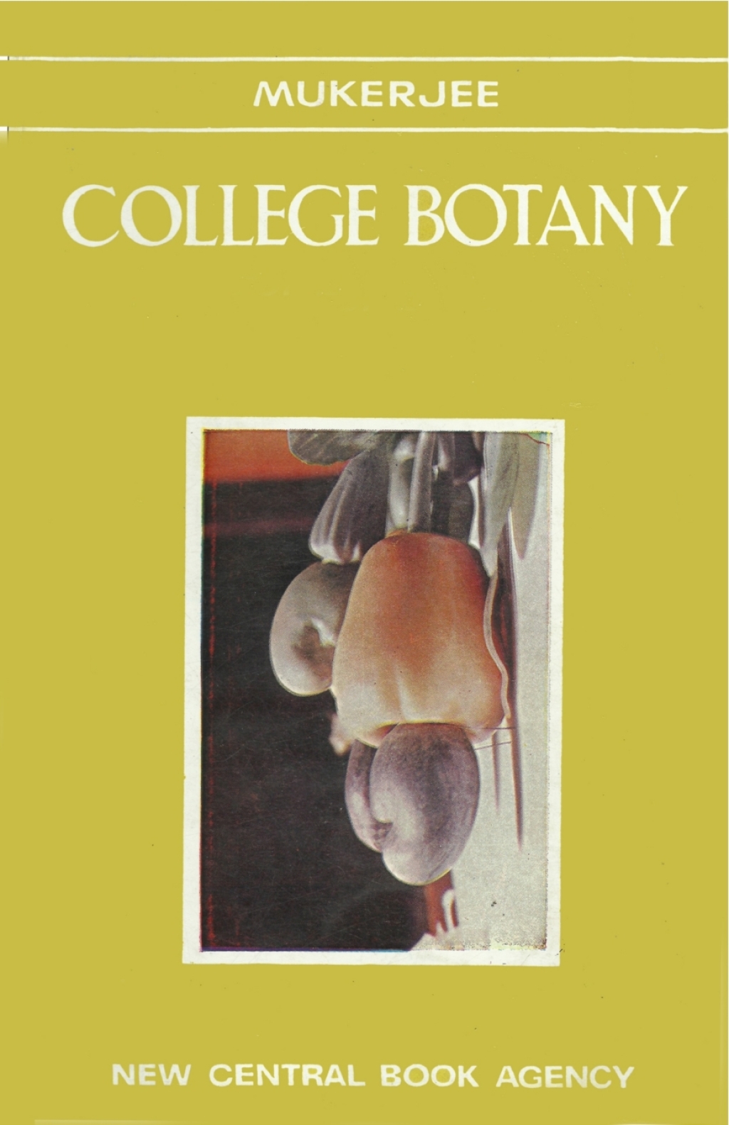College Botany â€“ PDF/EPUB Version Downloadable – PremiumJS Store
