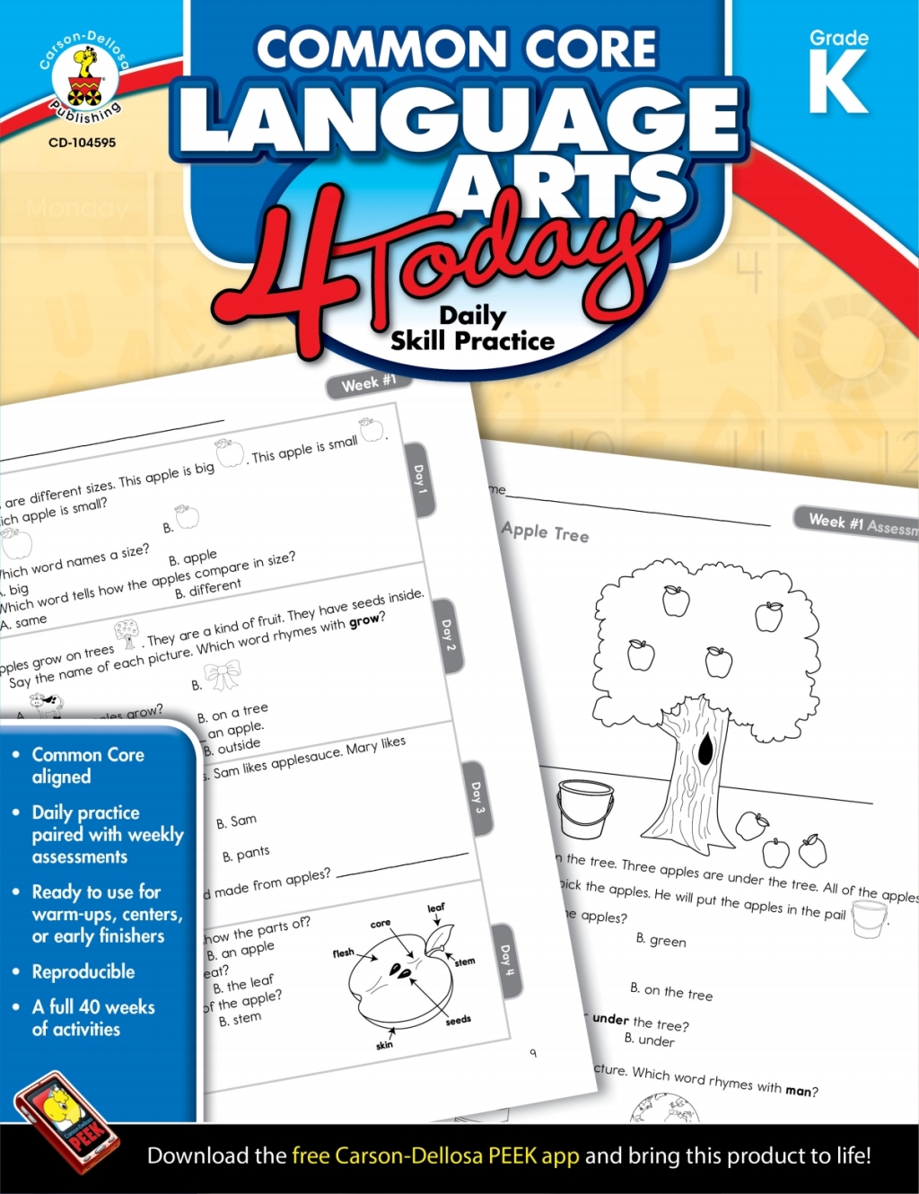 Common Core Language Arts 4 Today, Grade K Daily Skill Practice - (PDF/EPUB Version)