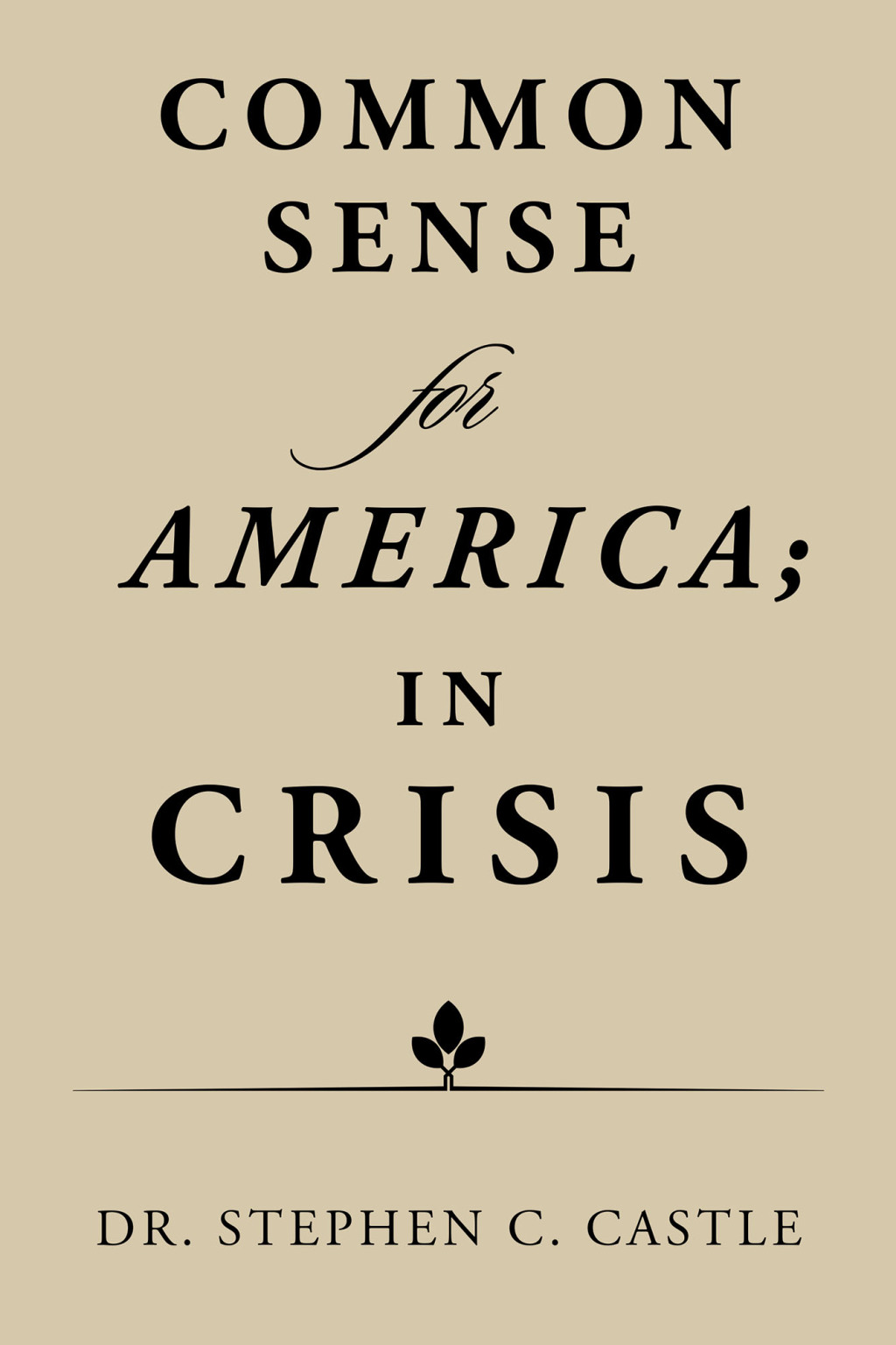 Common Sense for America; in Crisis - (PDF/EPUB Version)