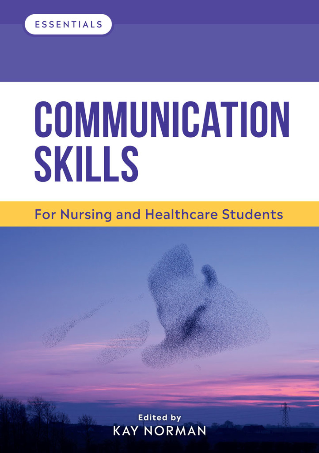 Communication Skills For Nursing and Healthcare Students 1st Edition - (PDF/EPUB Version)